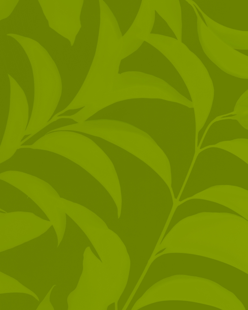 formagari-cedrat-pierre-girardin-20