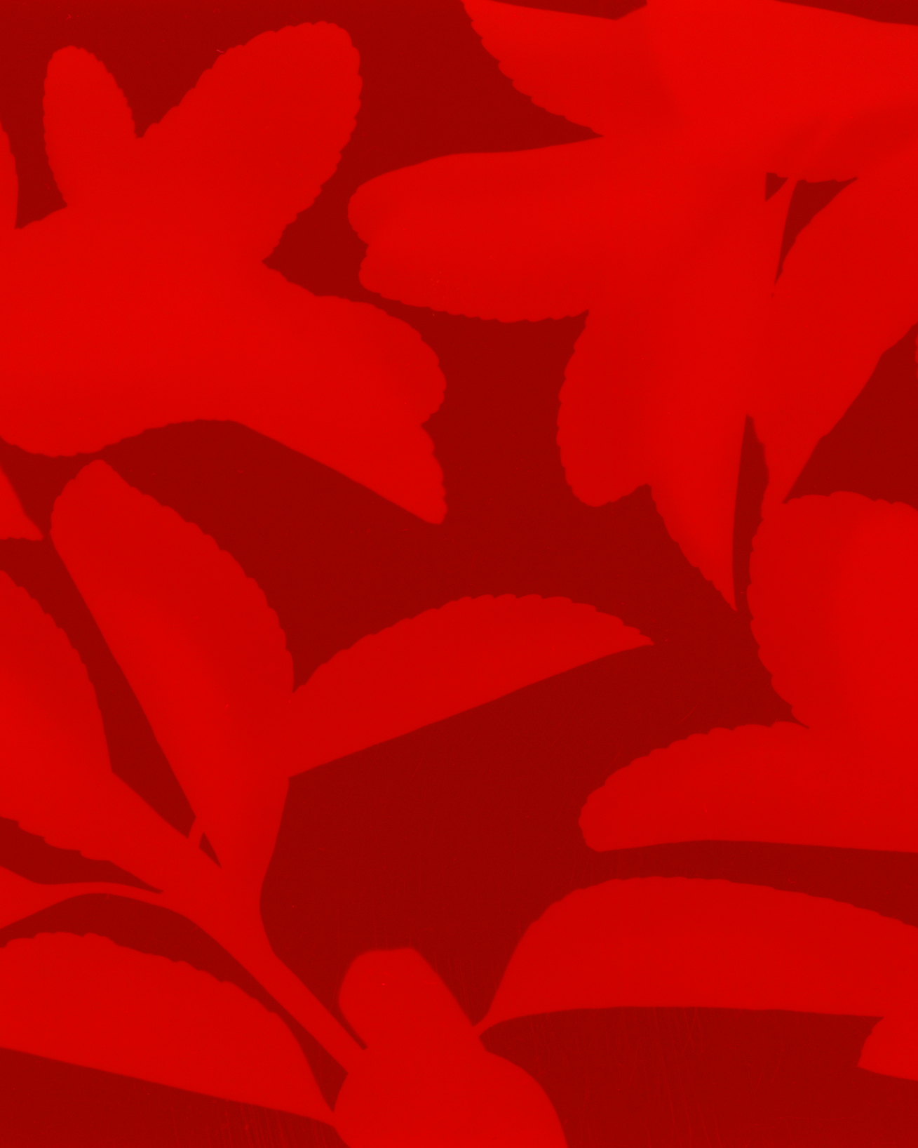 formagari-cedrat-pierre-girardin-12