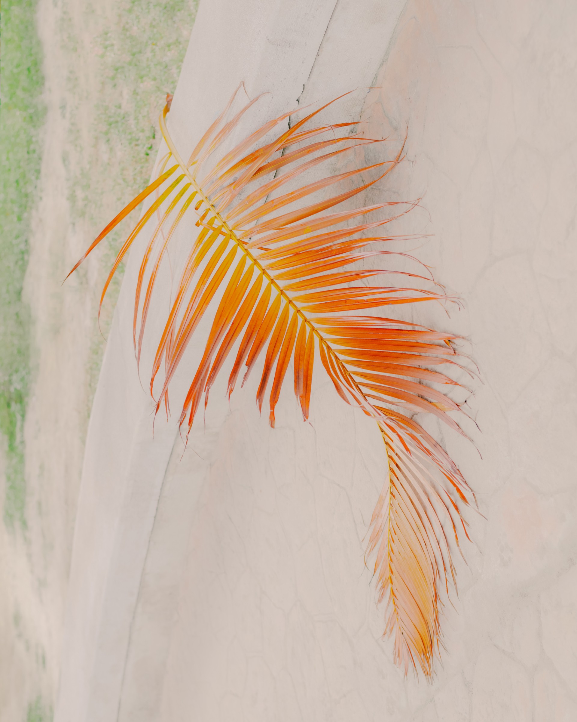 maxime-verret-for-taipei