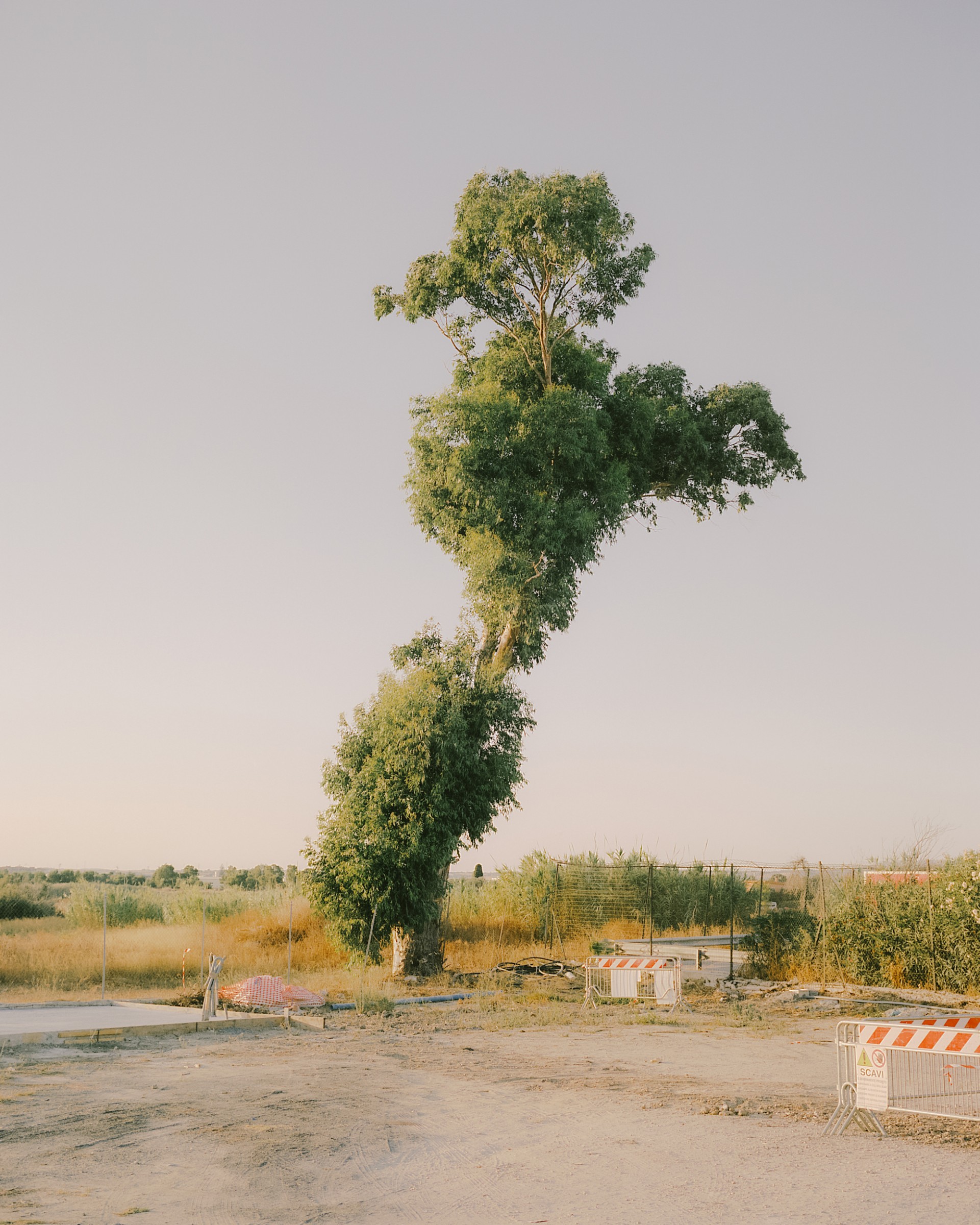 maxime-verret-for-random