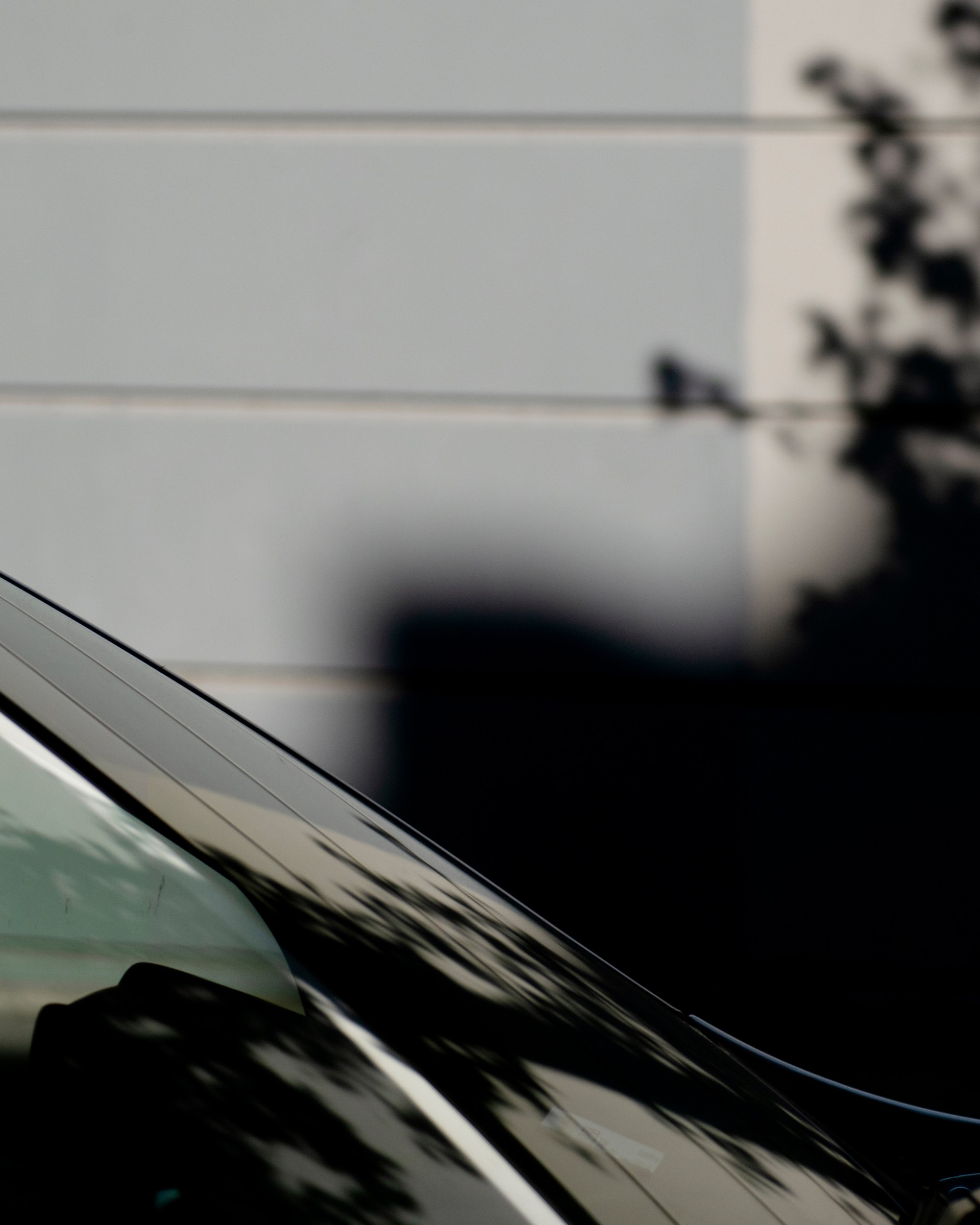 for-pierre-girardin-9-7