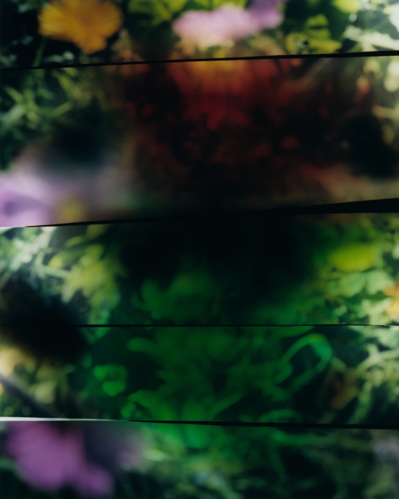 formagari-maxisud-luke-nik-4x5-web-1-00001