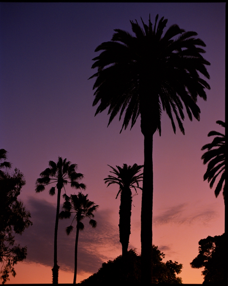 formagari-maxisud-luke-nik-4x5-web-1-00003