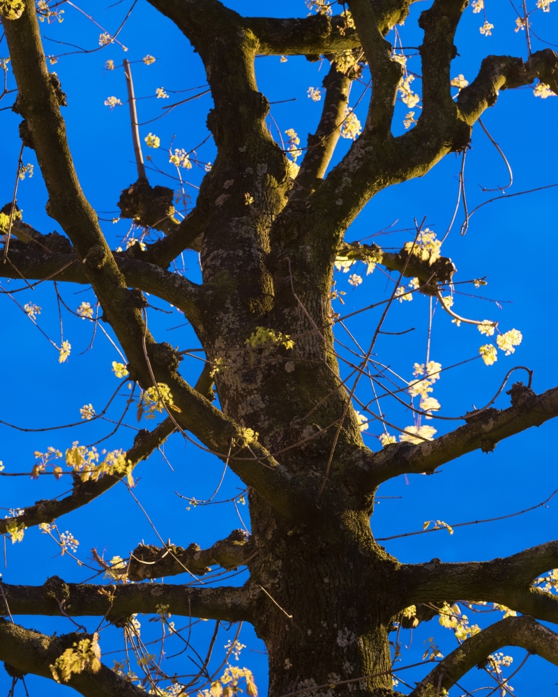 formagari-yasmina-gonin-rvb-web-7