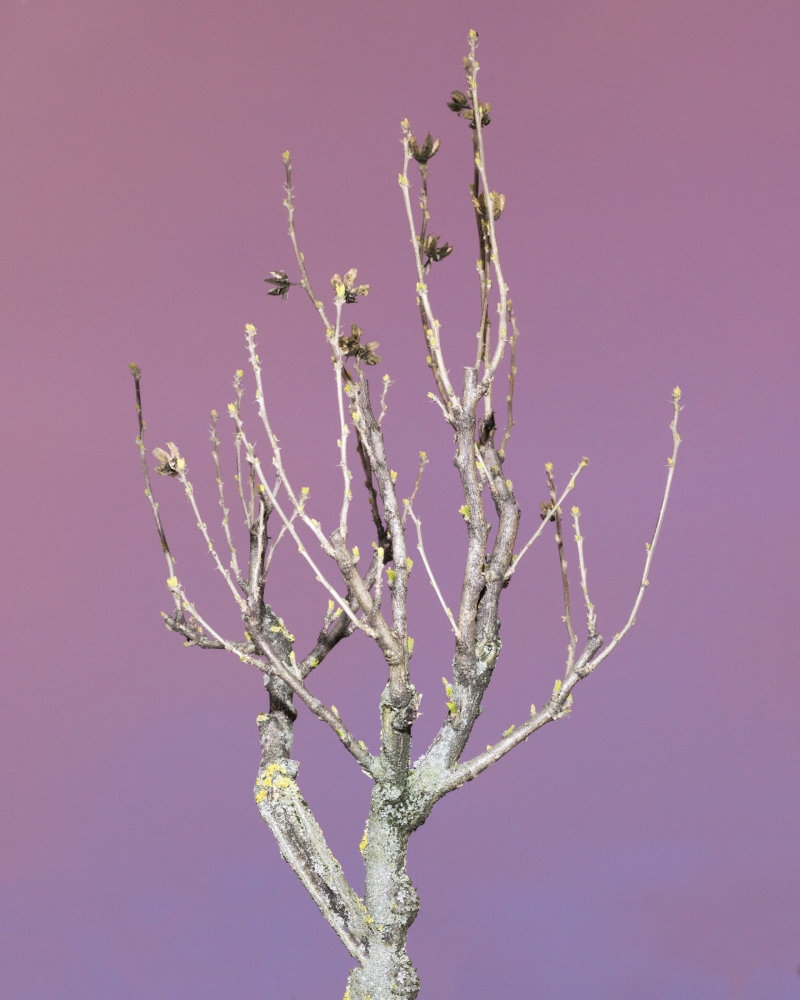 formagari-yasmina-gonin-rvb-web-6