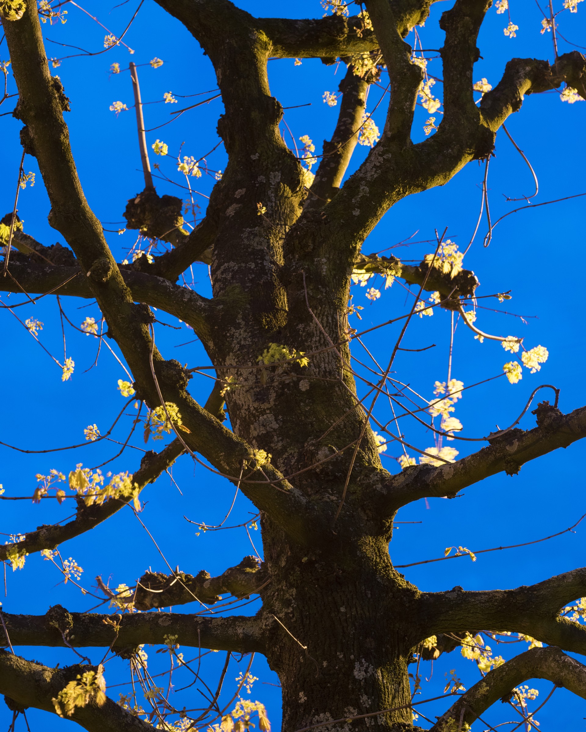 formagari-yasmina-gonin-rvb-web-7