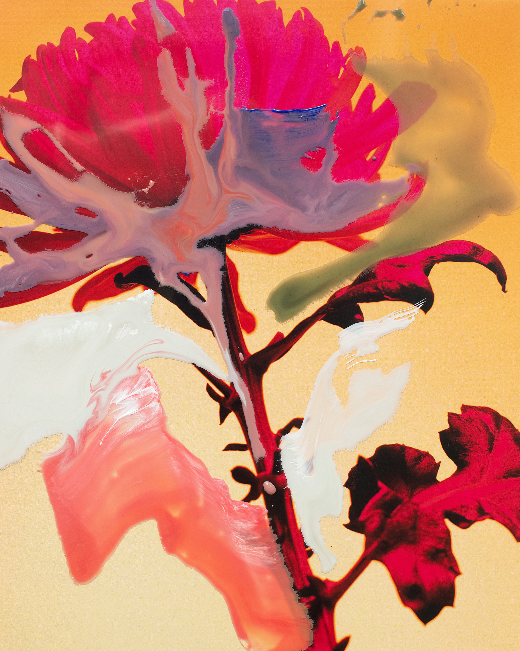 formagari-charlotte-krieger-4x5-3