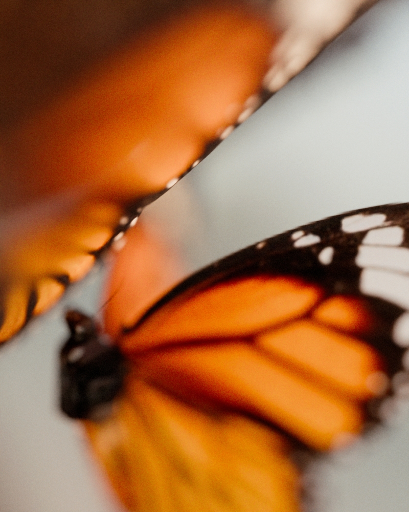 yet-grotesk-4x5-d-low-2